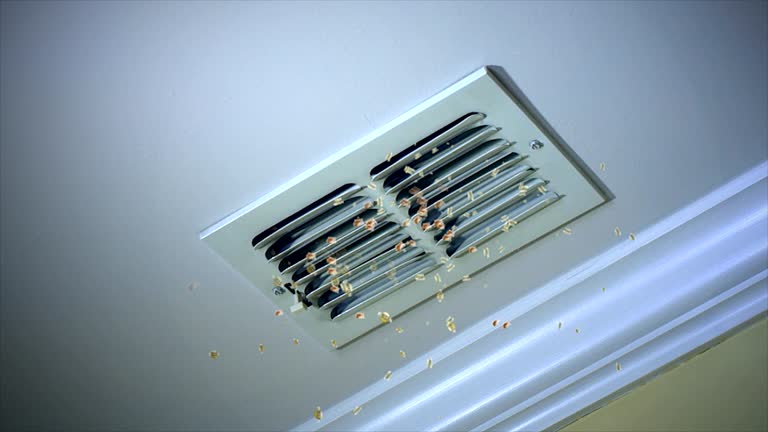 Best Dryer Vent Cleaning Services  in Little River, SC